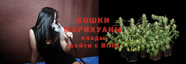 ECSTASY Тавда