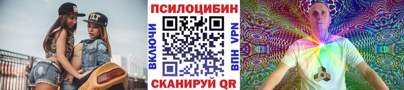 Галлюциногенные грибы Psilocybine cubensis Верхняя Пышма